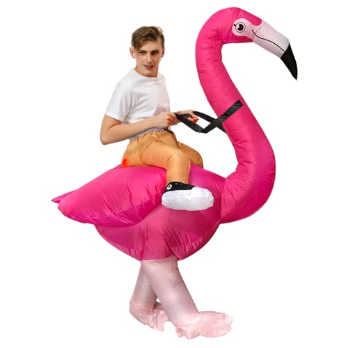 41Dto6au1bL._SL500_.jpg