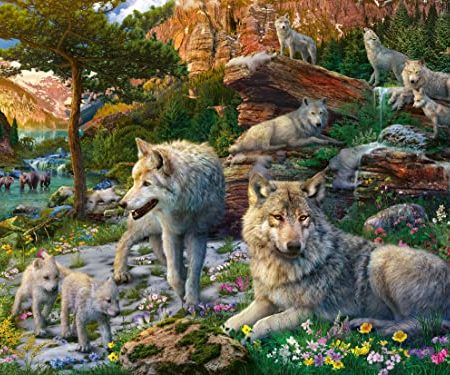B08T9N5NH4